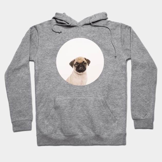 Puggly the Pug Dog Hoodie by Vin Zzep